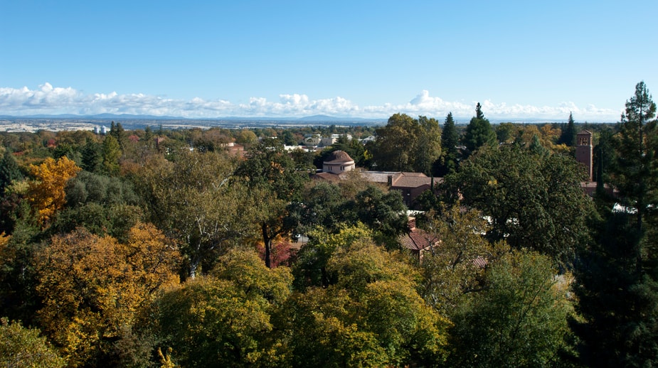 Franchise Opportunity in Chico, California Chico, California