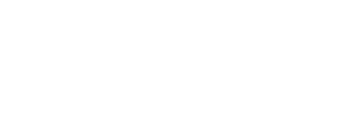 BOT Logo